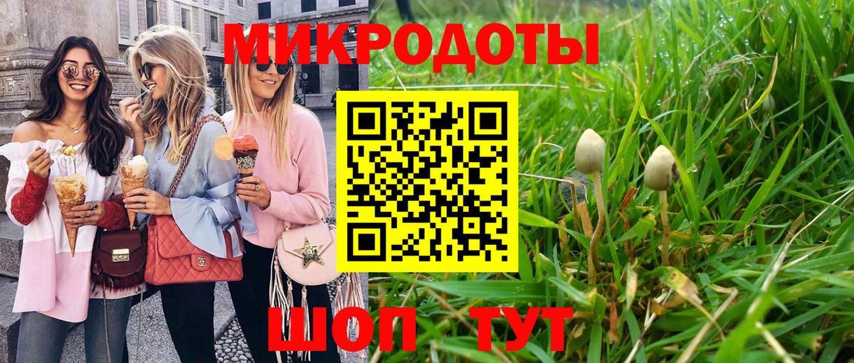 Полевской  Галлюциногенные грибы Psilocybine cubensis  Вход с VPN 